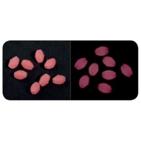 vercelli-perles-soft-oval-16-unitats