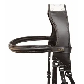 t.de.t-raphael-bridge-hovedtoj