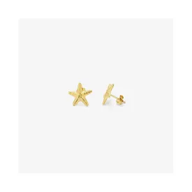 radiant-ry000135-earrings