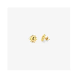 radiant-ry000153-earrings