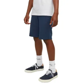 jack---jones-dave-breeze-korte-broek