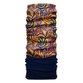 matt-scaldacollo-coolmax