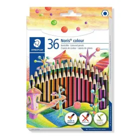 staedtler-wopex-pencil-assorted-36-units