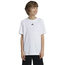 adidas-maglietta-a-maniche-corte-train-essentials-logo-regular-fit