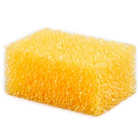premier-equine-sponge