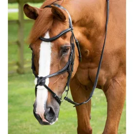 premier-equine-cabecada-glorioso-grackle