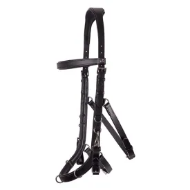 harrys-horse-cabecada-anatomic