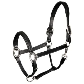 harrys-horse-leather-padded-halter