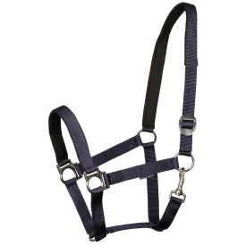 harrys-horse-cabrestro-padded