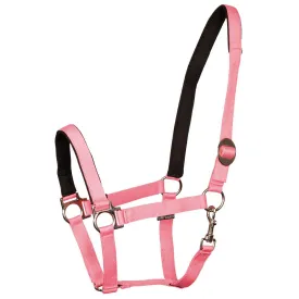 harrys-horse-padded-halter