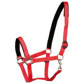 harrys-horse-padded-halter