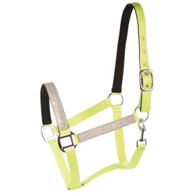 harrys-horse-cabecada-reflective