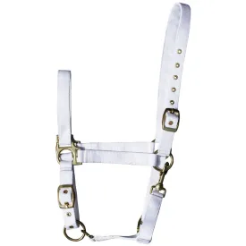 harrys-horse-cabecada-3x-adjustable