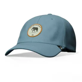 hanukeii-gorra-elephant