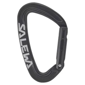 salewa-ortles-straight-snap-hook