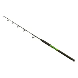 wizard-vertix-boat-catfish-rod