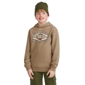 oneill-moletom-com-capuz-front-print