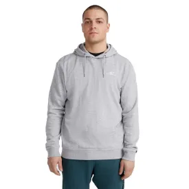 oneill-sudadera-con-capucha-small-logo
