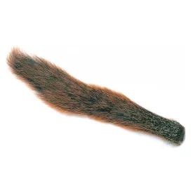 baetis-fox-squirrel-tail