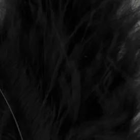 baetis-marabou-s-羽