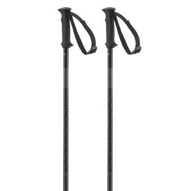 salomon-polar-access-지팡이