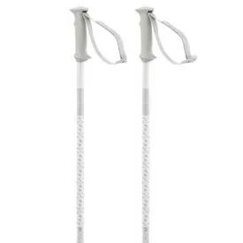 salomon-polar-access-stavar