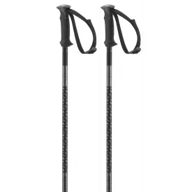 salomon-bastons-polar