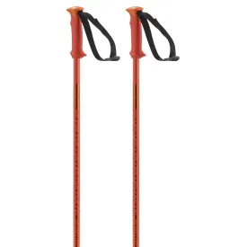 salomon-bastons-polar
