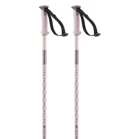 salomon-bastons-polar