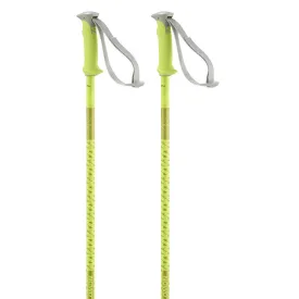 salomon-bastons-polar