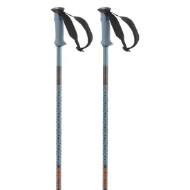 salomon-bastons-polar-pro