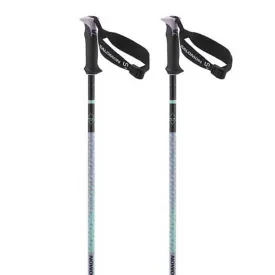 salomon-polar-pro-s3-poles