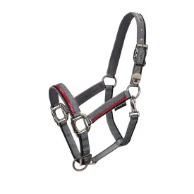 equestro-red-trim-halfter