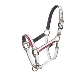 equestro-capcada-i-ramal-red-trim