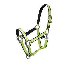 equestro-licol-white-trim