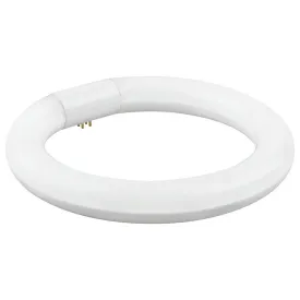 matel-circular-led-fluorescent-cool-30-cm-20w