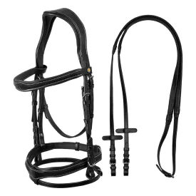 equestro-anatomical-logo-trans