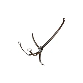 equestro-np-rintaremmi