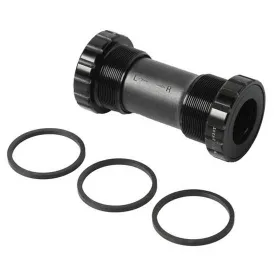 dema-bsa-bb-2495-비비컵