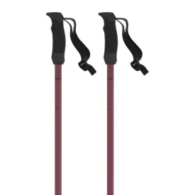 atomic-cloud-frau-pole