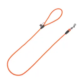 arpe-merlin-hundeband