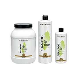 iv-san-bernard-green-apple-shampoo-500ml