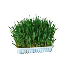 kerbl-grass-for-rodents-100gr