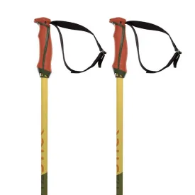 volkl-bastoncini-phantastick-18mm