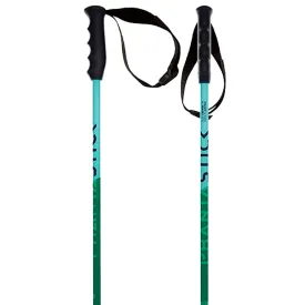 volkl-phantastick-junior-poles