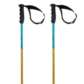 volkl-phantastick-junior-poles