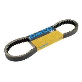 dayco-sym-joymax-250cc-drivrem