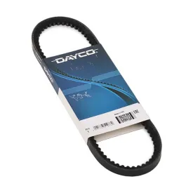 dayco-sym-symphony-st-drivrem