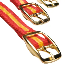 marjoman-collare-per-cani-nylon