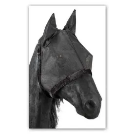 tattini-paddock-karpasmaski